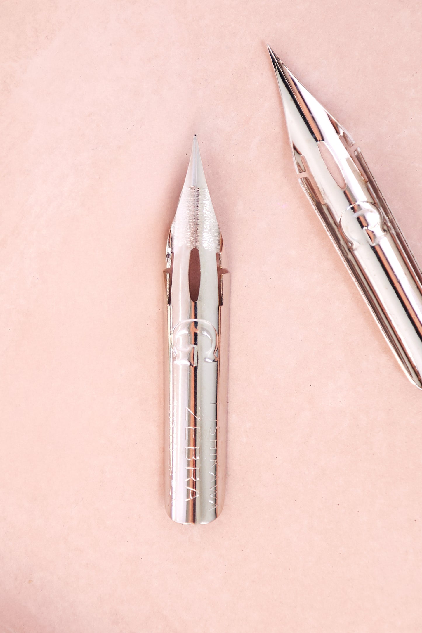 Zebra G Nibs