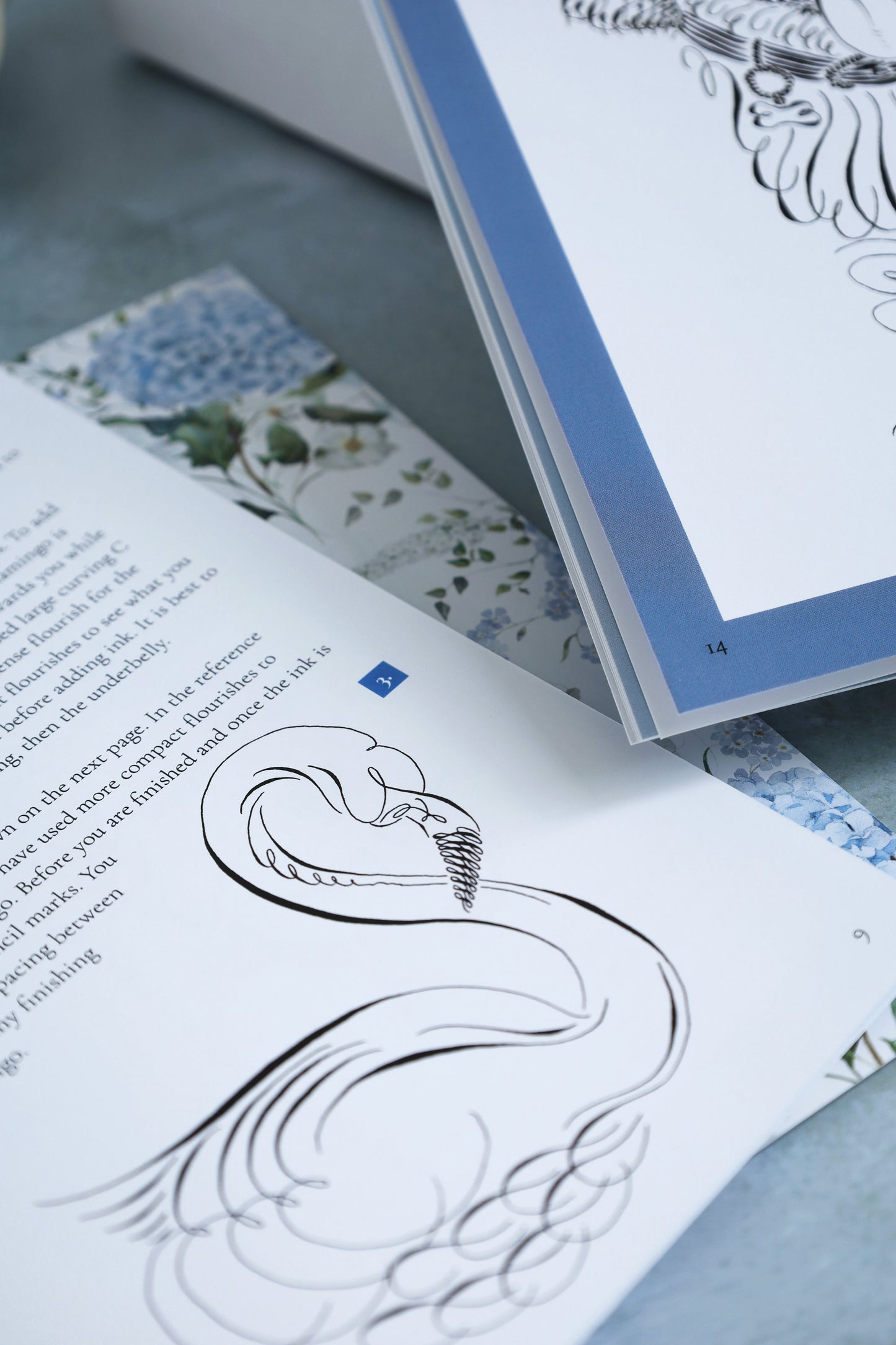 Calligraphic Drawing Box