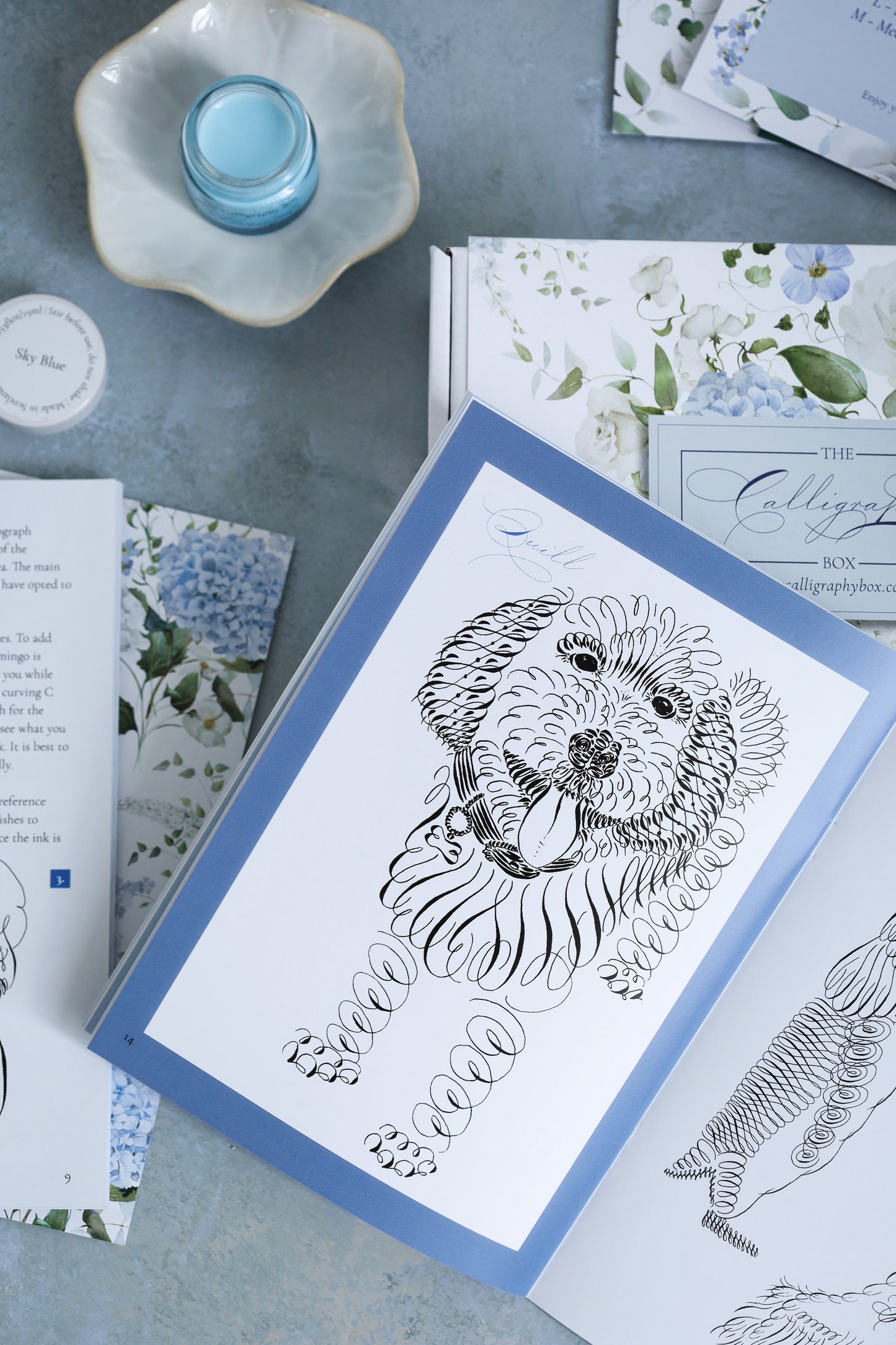 Calligraphic Drawing Box