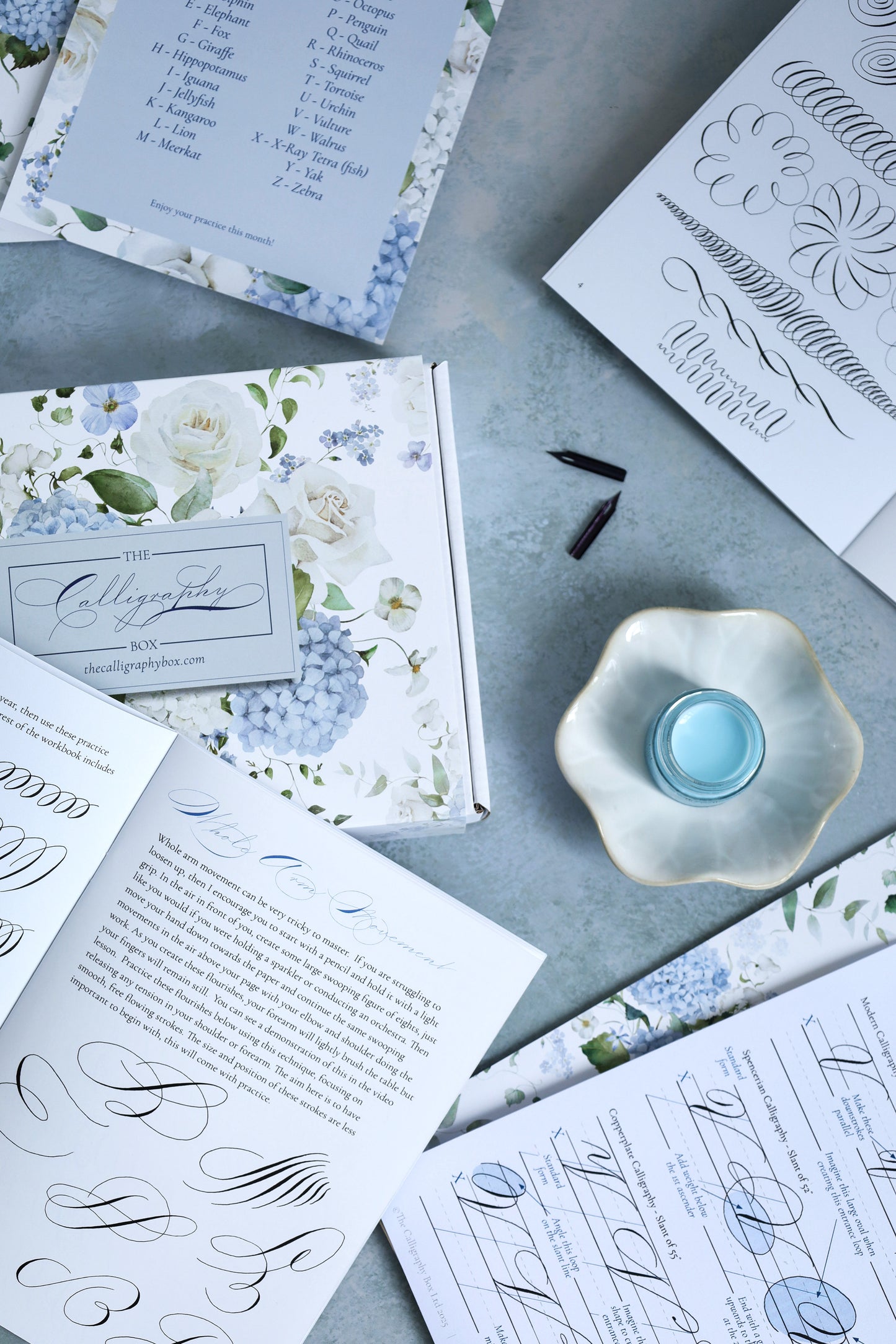 Calligraphic Drawing Box