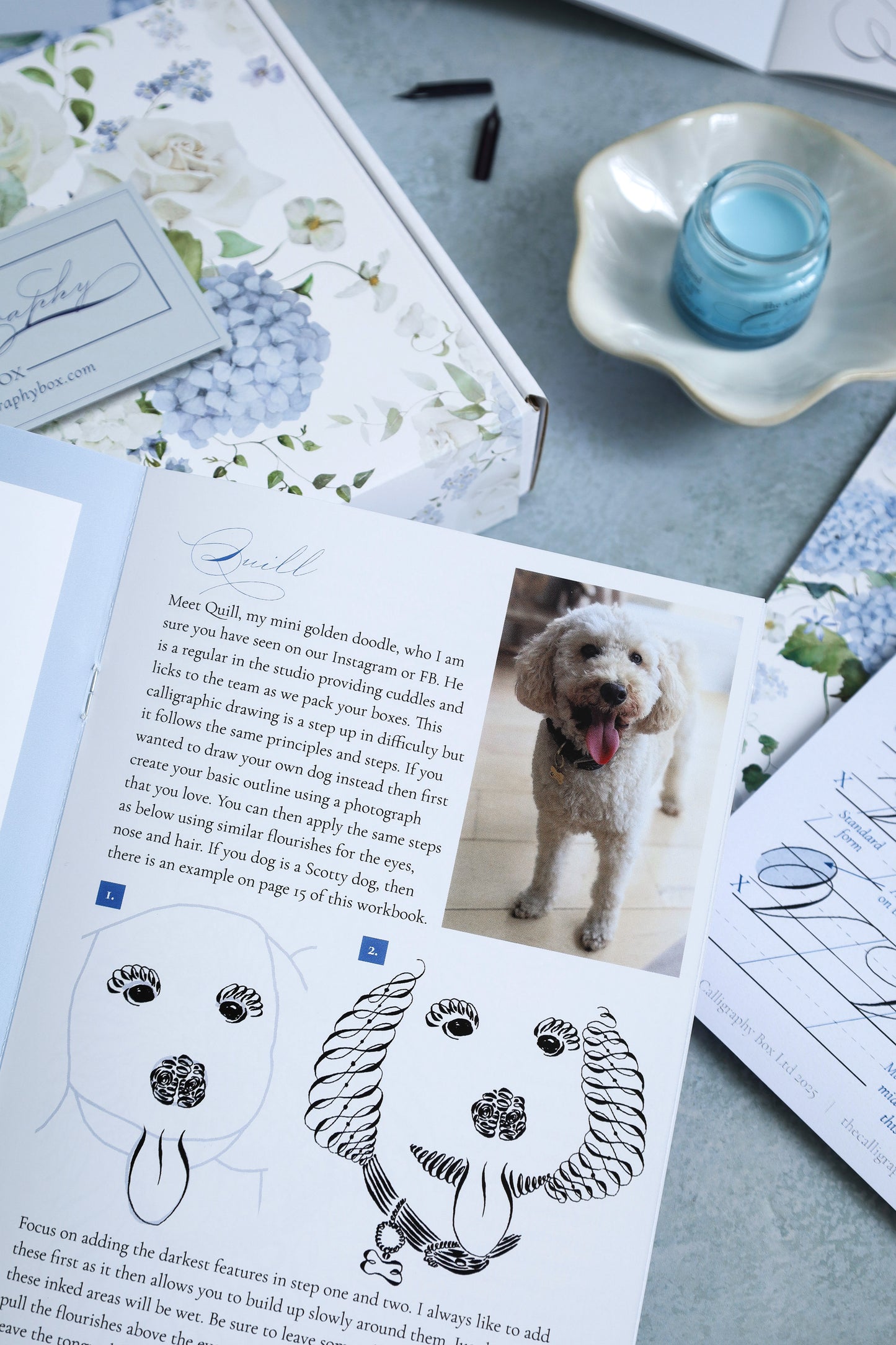 Calligraphic Drawing Box