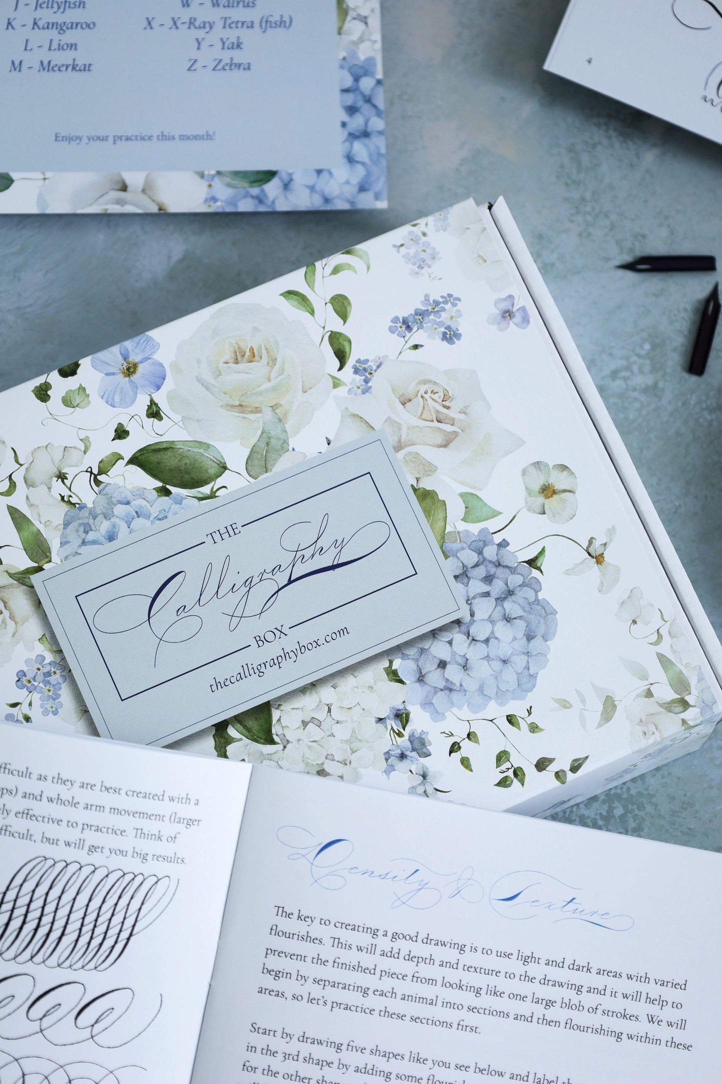 Calligraphic Drawing Box