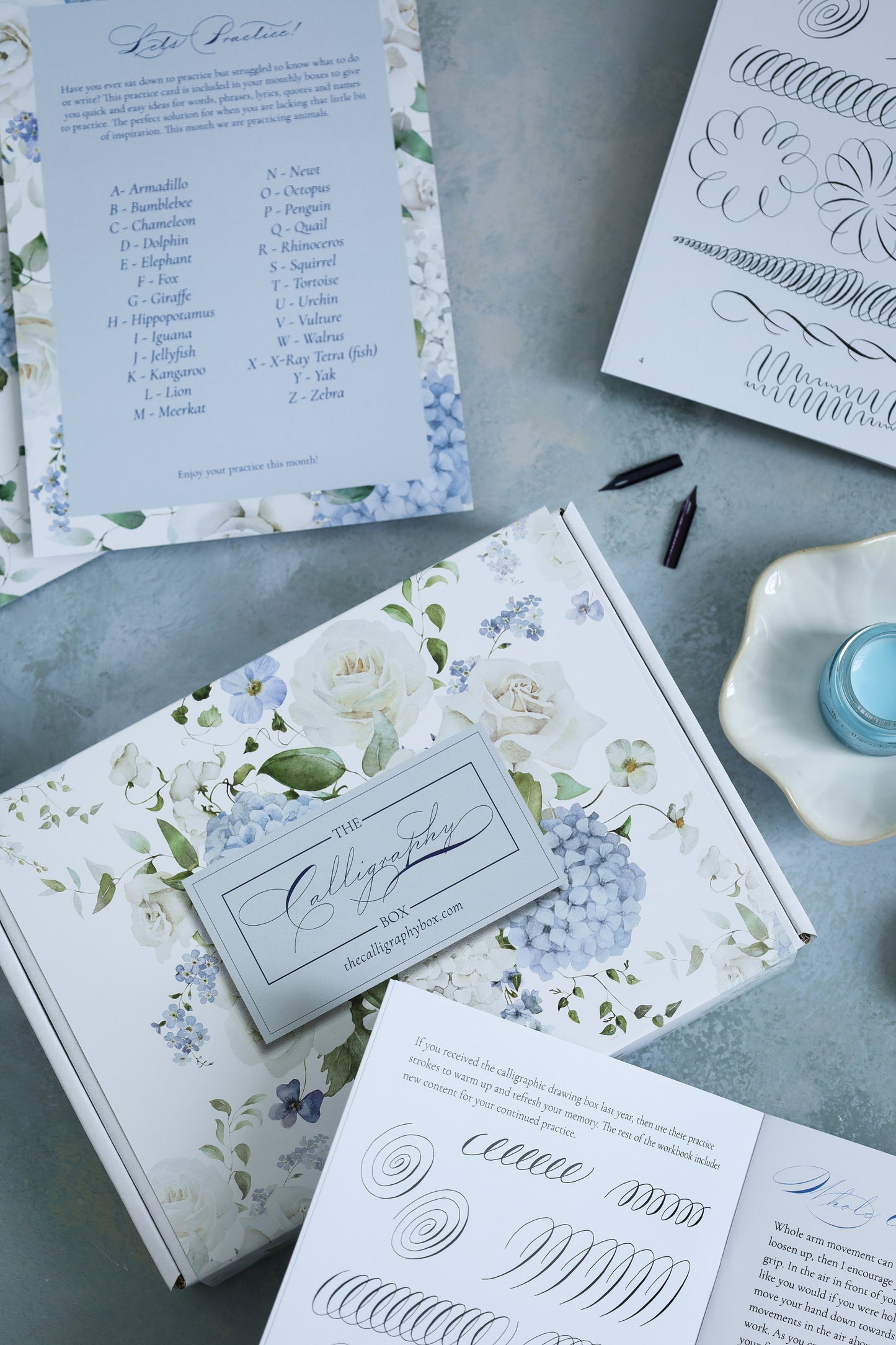 Calligraphic Drawing Box