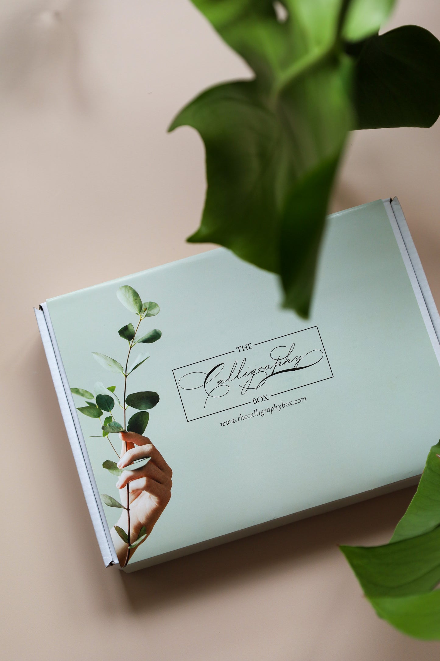 The Beginners Box