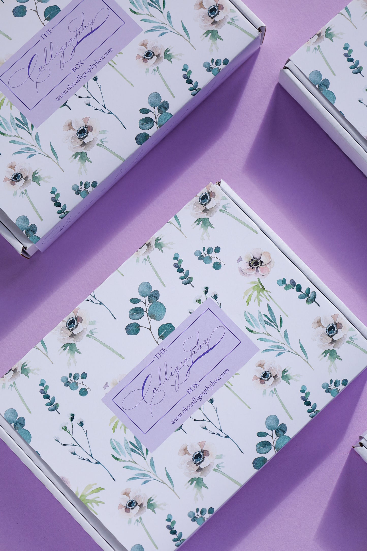 Spencerian Capitals Part 2 Box