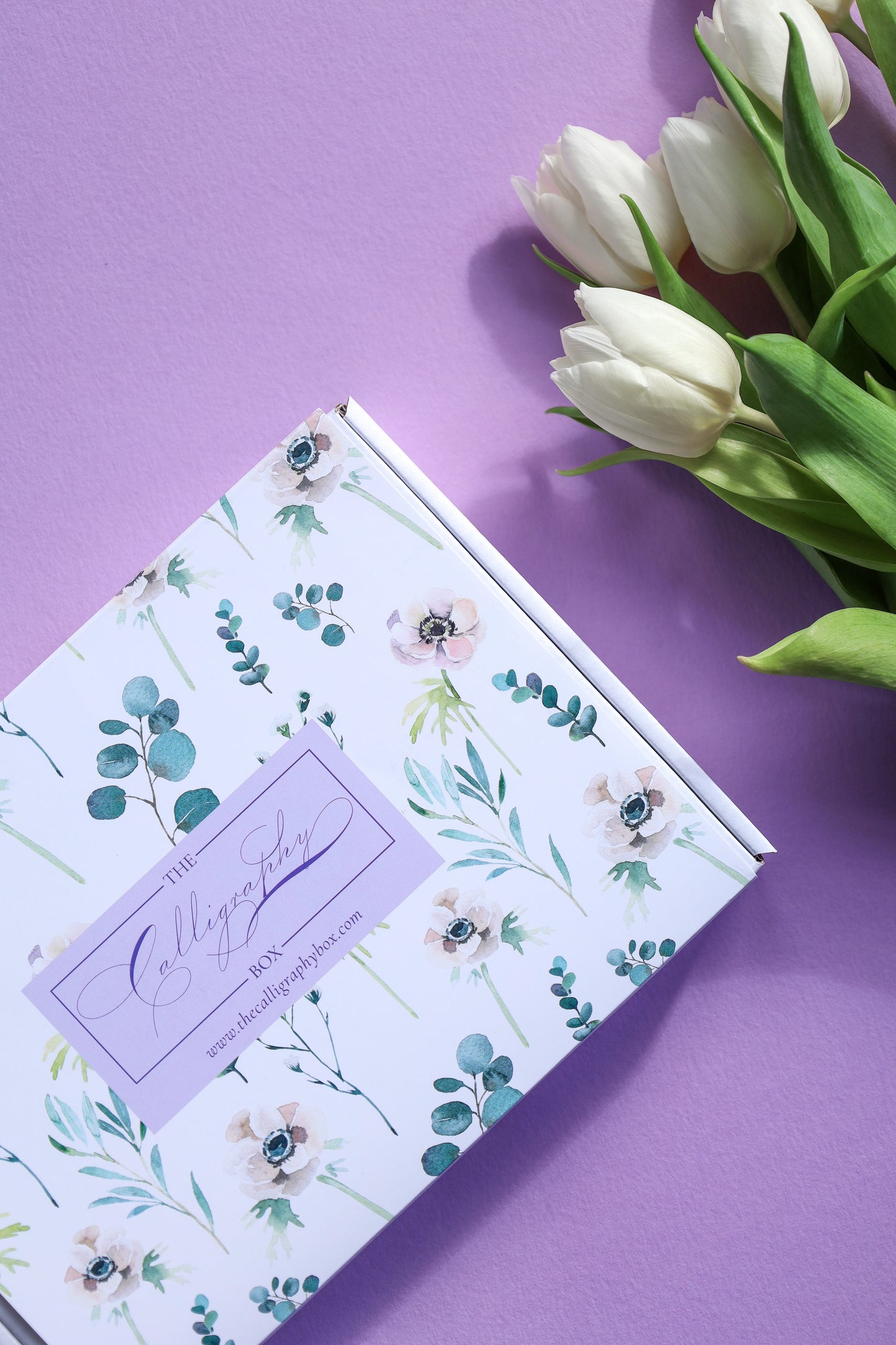 Spencerian Capitals Part 2 Box