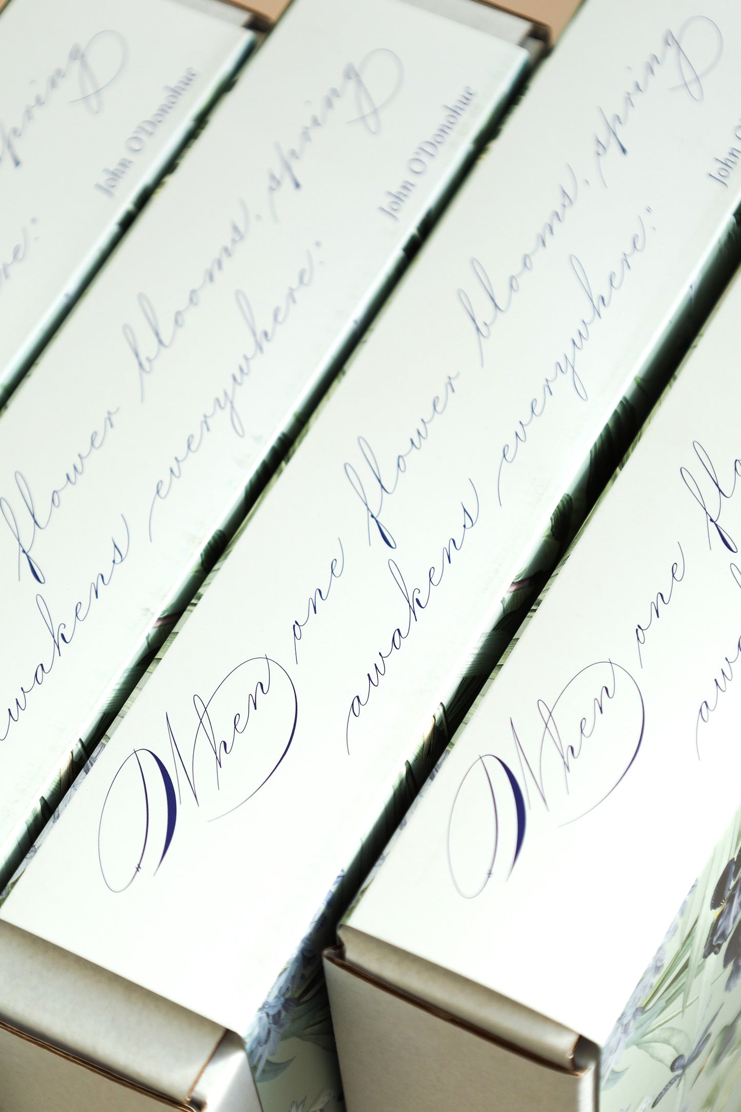 Spencerian Capitals Part 1 Box