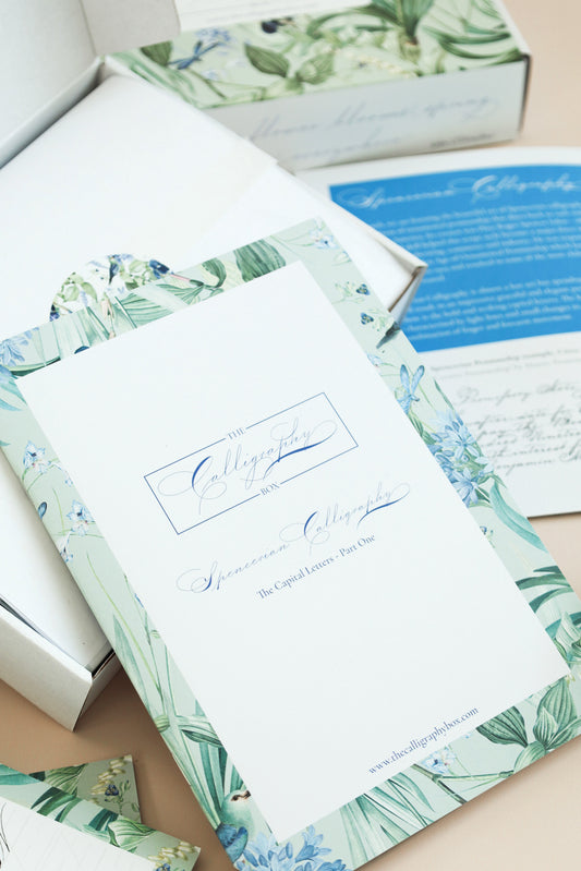 Spencerian Capitals Part 1 Box
