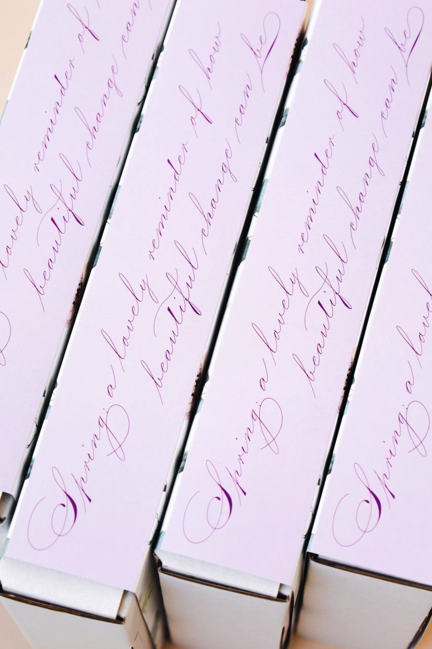 Spencerian Capitals Part 2 Box