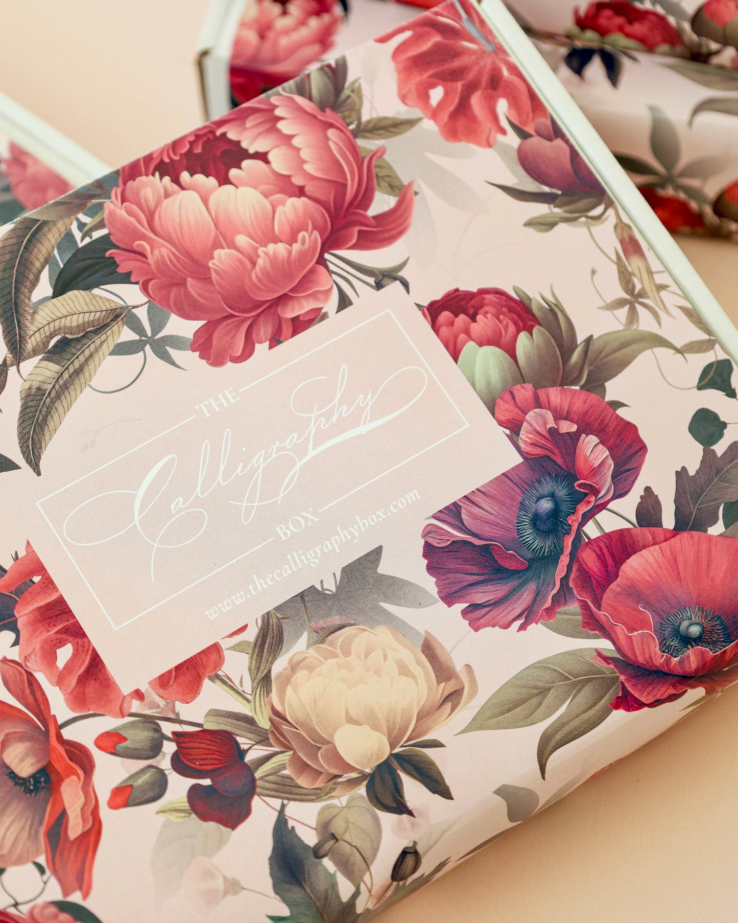 Mindful Calligraphy & Quill Flourishing